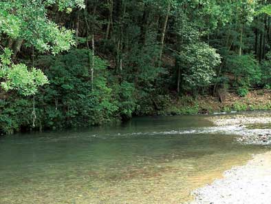 高柱川遊泳場・高柱川のホタル