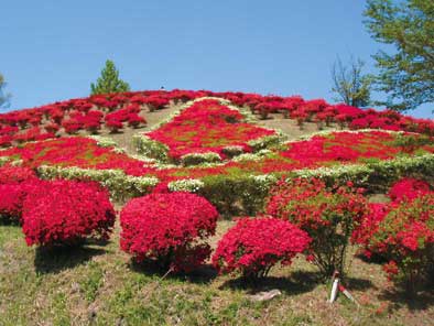 丸岡公園