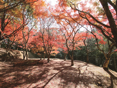 麓城跡（紅葉）