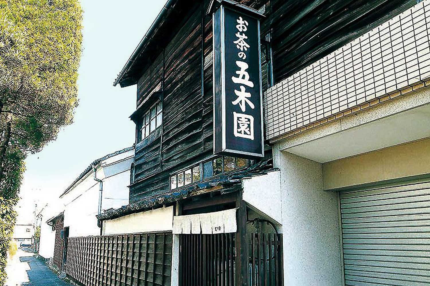 冷凍】餅 よもぎもち 約1.8kg ( 300g×6パック ) こもち 小餅 お