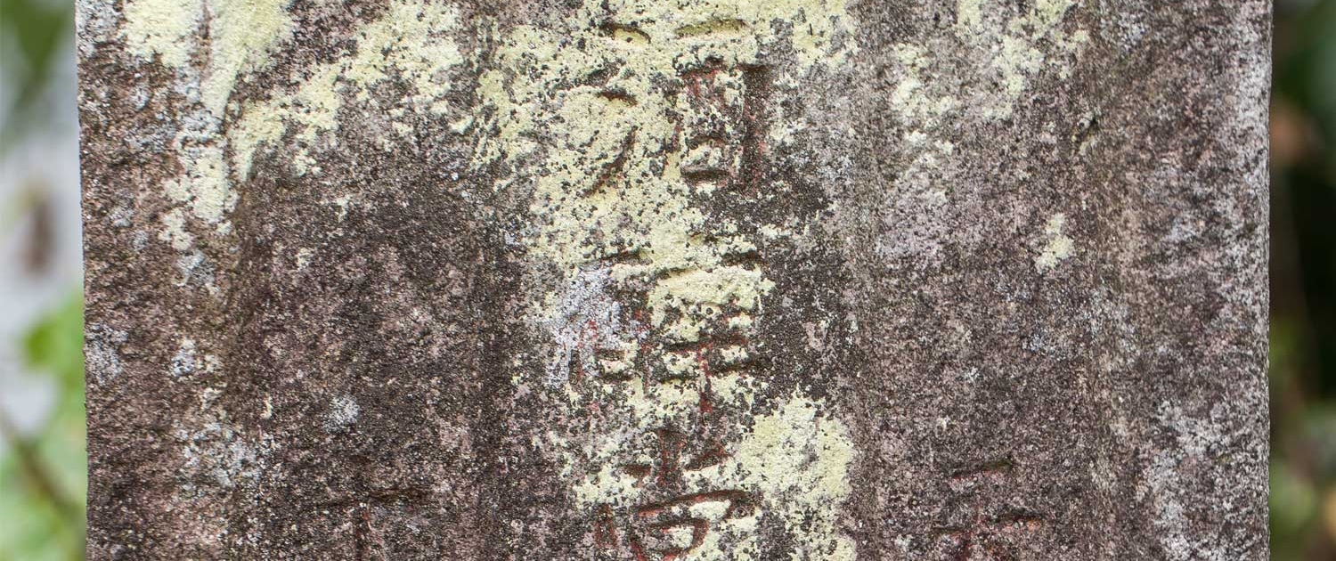 焼酎墓