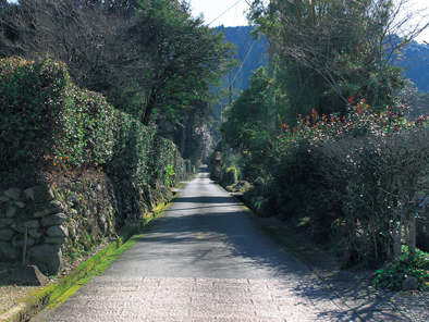 武家屋敷跡（麓馬場通り）