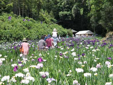 天子の水公園