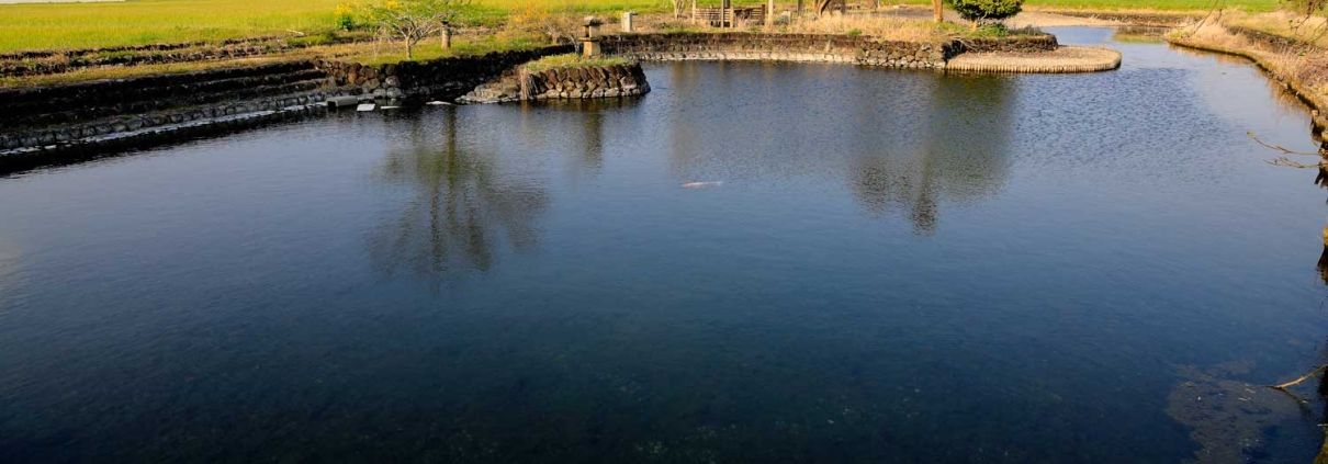 寺池親水公園